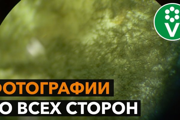Ссылки на кракен блэкспрут