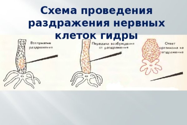 Сайты продаж наркотиков